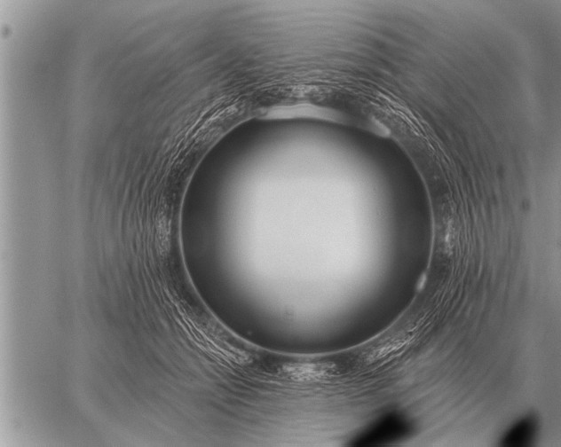 X0000059040558200510171851