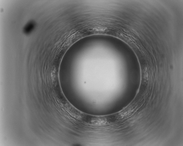 X0000059040559200510171851