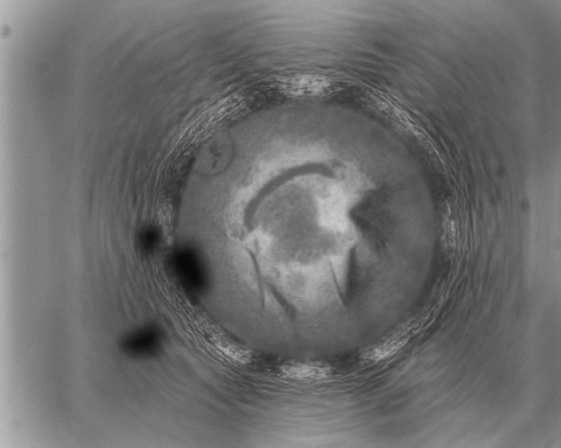 X0000059040561200510171851