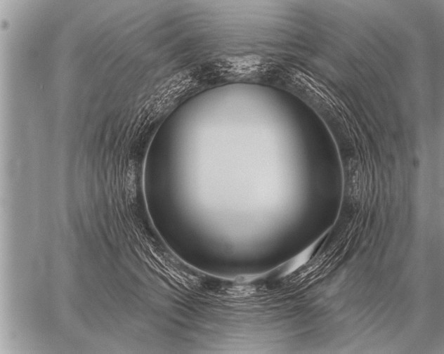 X0000059040562200510171851