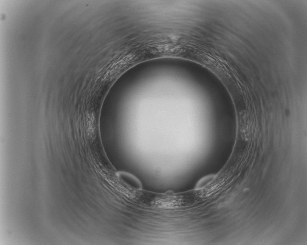 X0000059040563200510171851