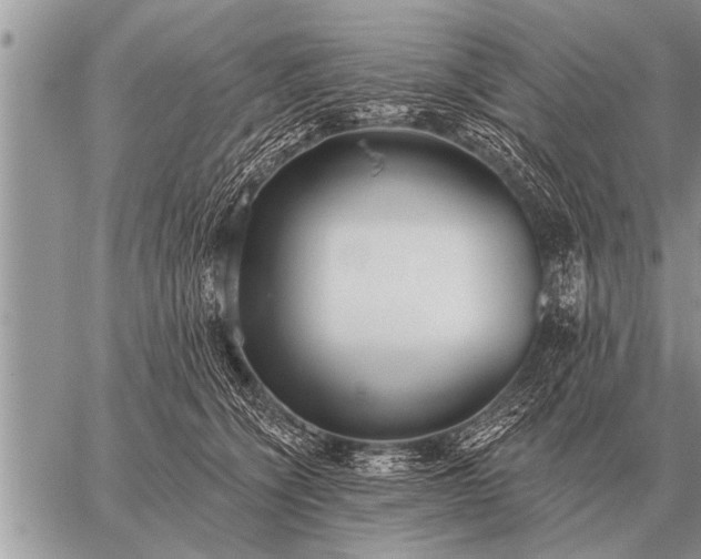 X0000059040564200510171851