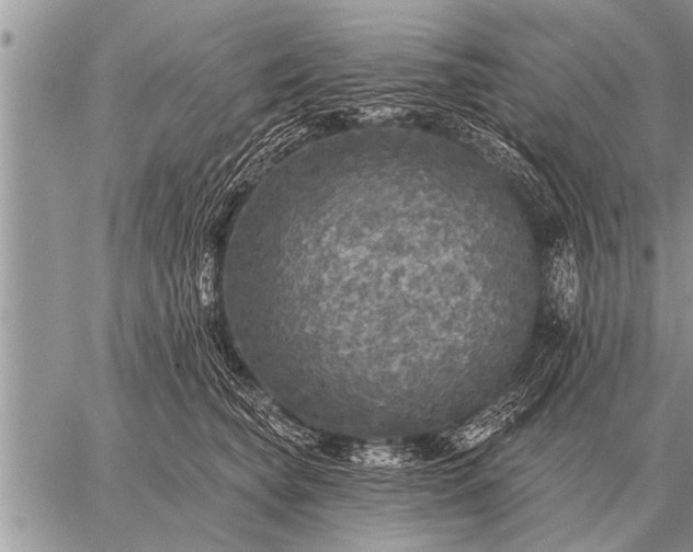 X0000059040565200510171851