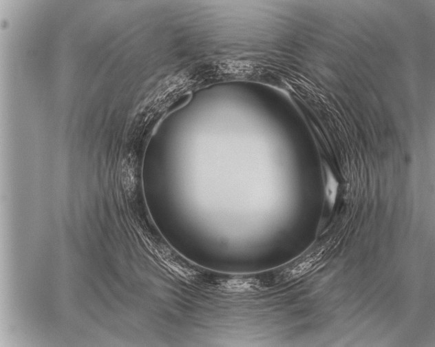 X0000059040566200510171851