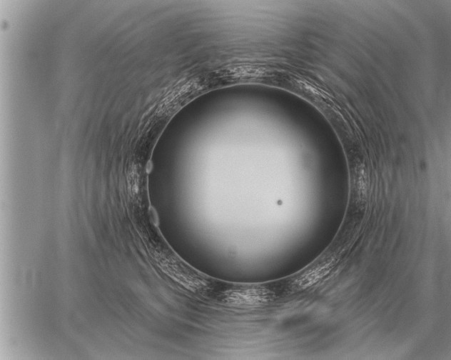 X0000059040567200510171851