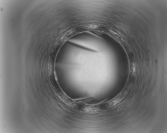 X0000059040568200510171851