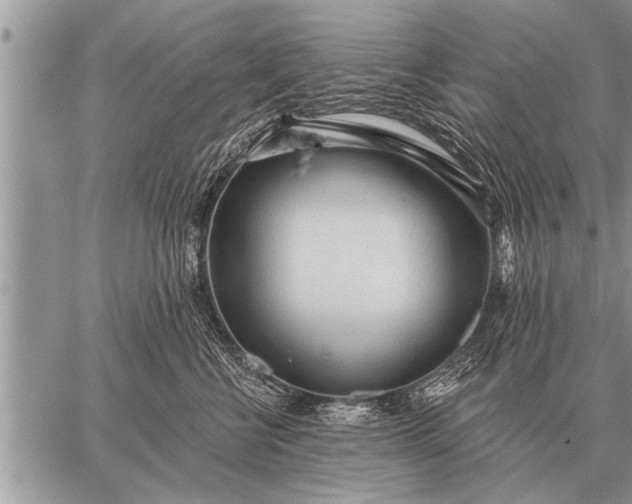 X0000059040570200510171851