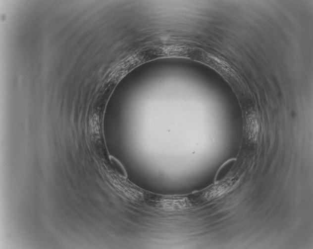 X0000059040571200510171851