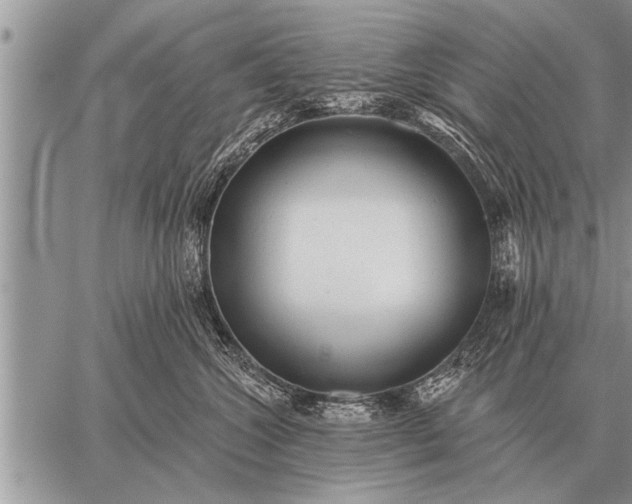 X0000059040572200510171851