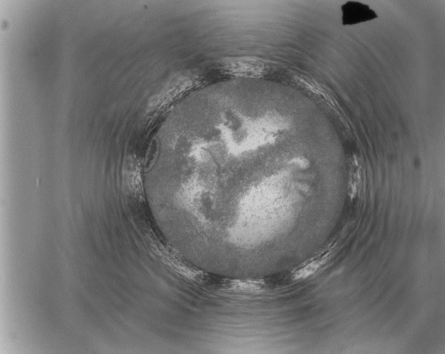 X0000059040573200510171851