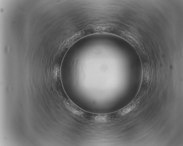 X0000059040574200510171851