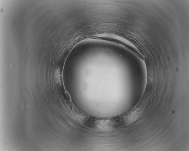 X0000059040575200510171851