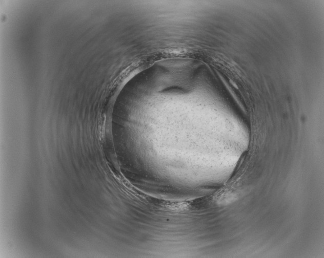 X0000059040576200510171851