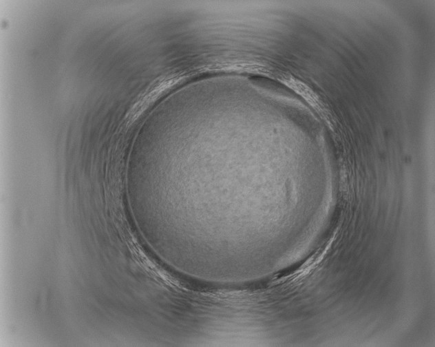 X0000059040577200510171851