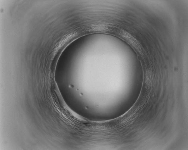 X0000059040578200510171851