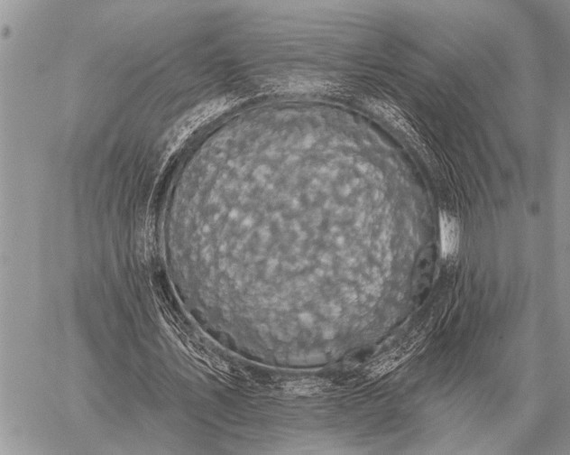 X0000059040579200510171851