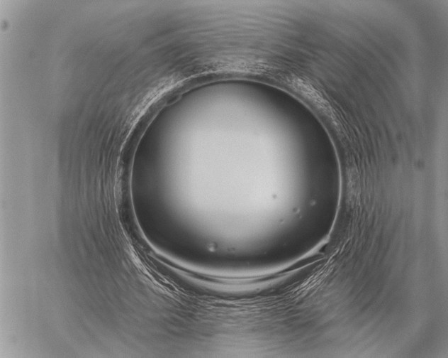 X0000059040580200510171851