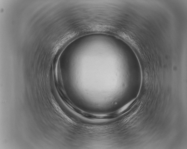 X0000059040581200510171851