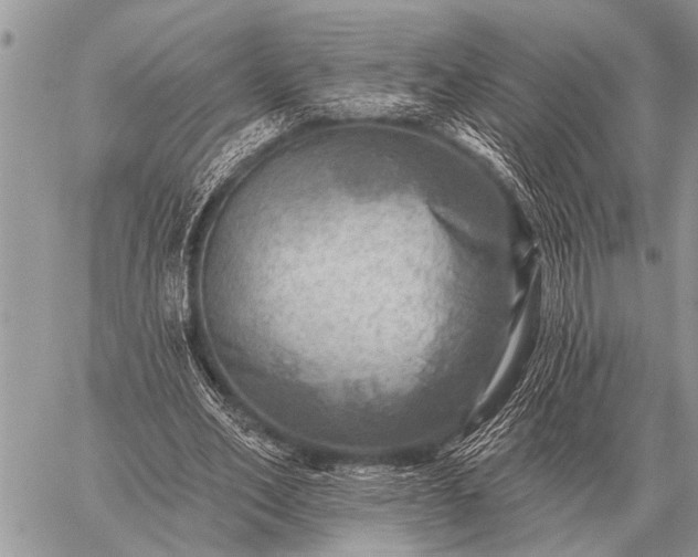 X0000059040582200510171851