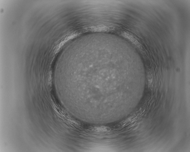 X0000059040583200510171850