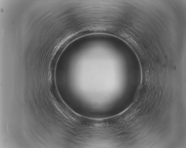 X0000059040584200510171850