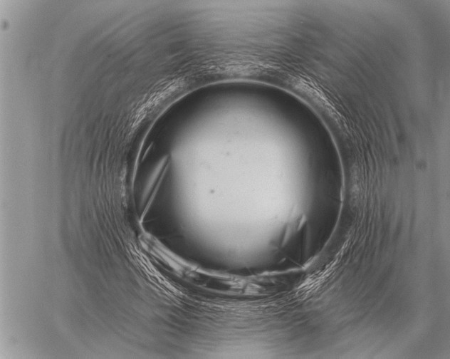 X0000059040585200510171850