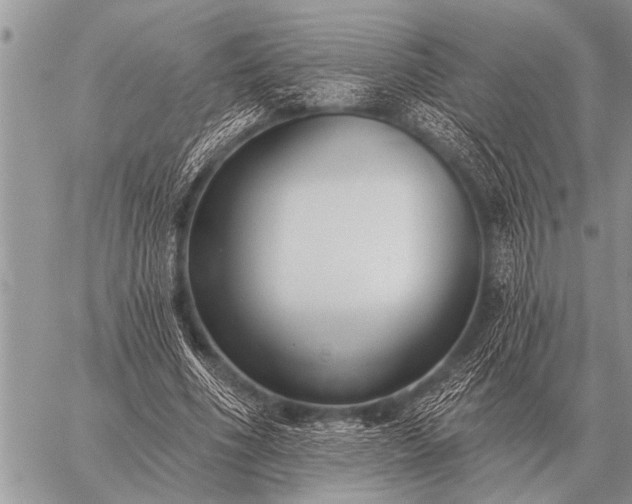 X0000059040586200510171850