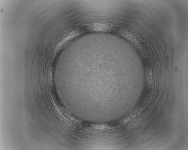 X0000059040587200510171850