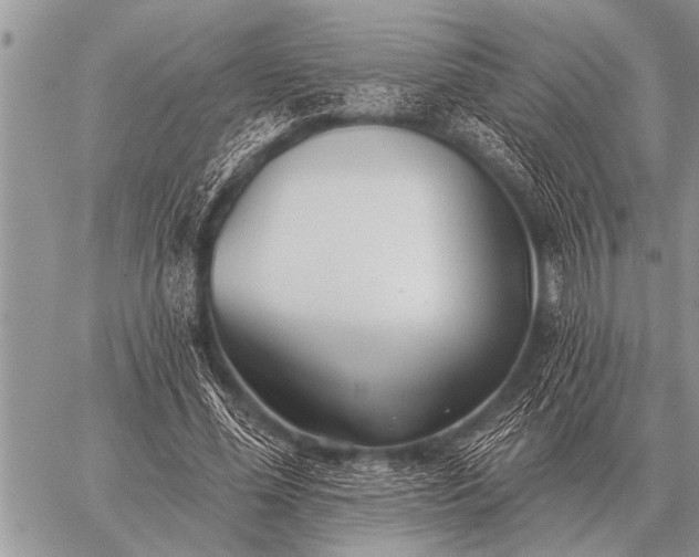 X0000059040588200510171850