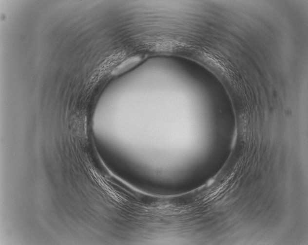 X0000059040589200510171850