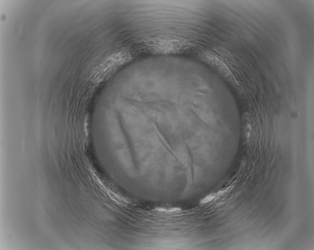 X0000059040590200510171850