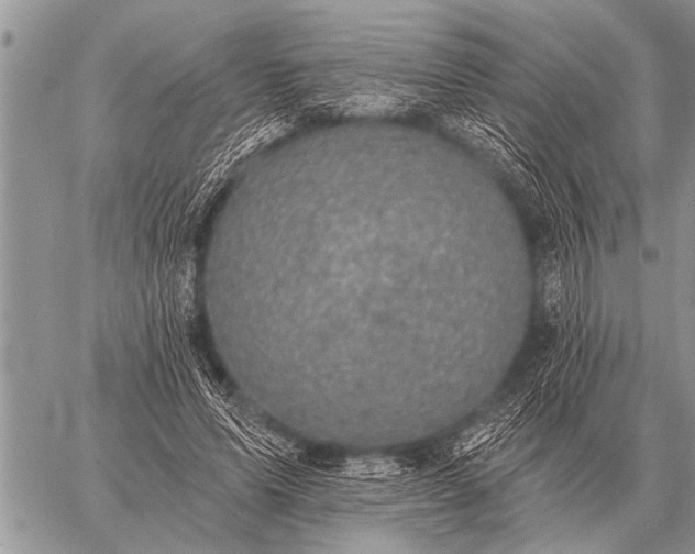 X0000059040591200510171850