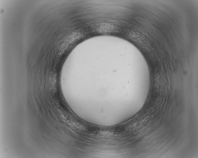 X0000059040592200510171850