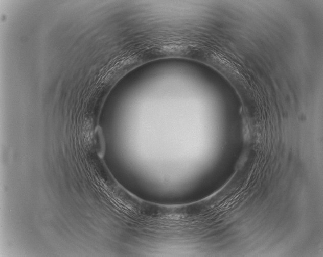 X0000059040593200510171850