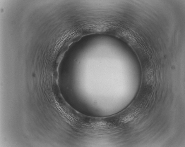 X0000059040594200510171850