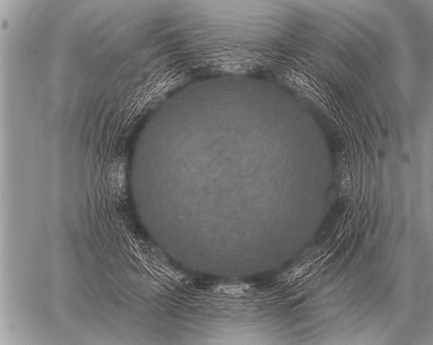 X0000059040595200510171850