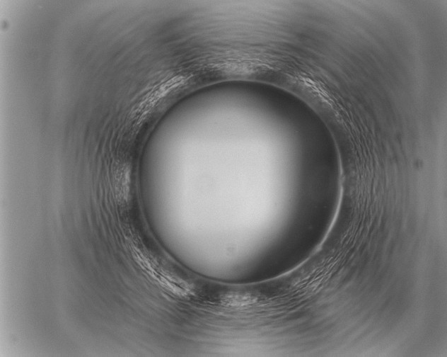 X0000059040596200510171850