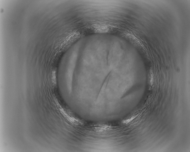 X0000059040598200510171850