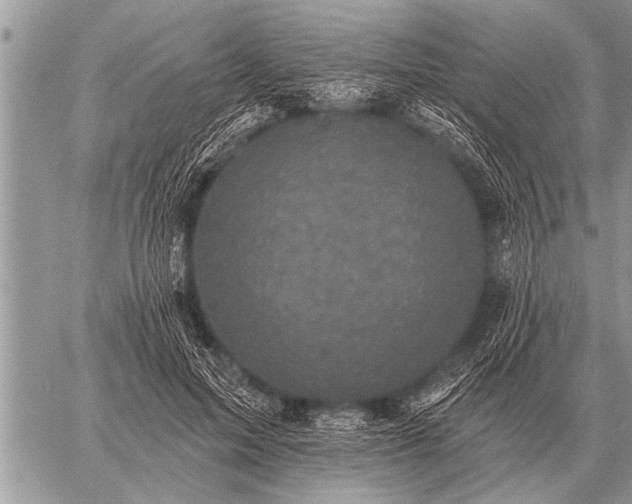 X0000059040599200510171850