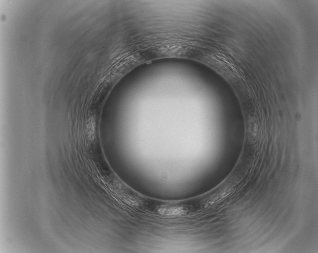 X0000059040602200510171850