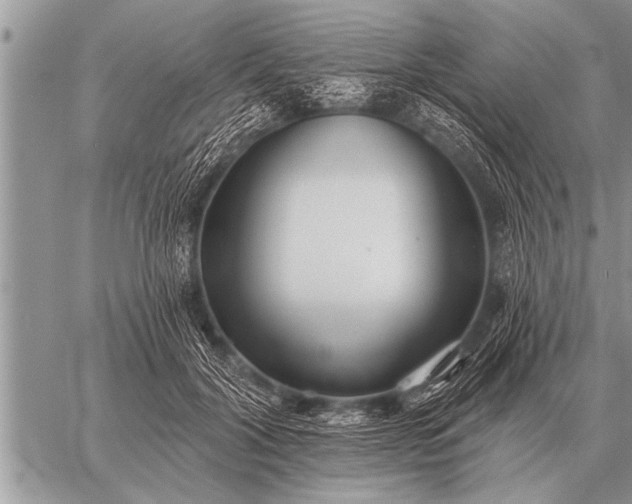 X0000059040604200510171850