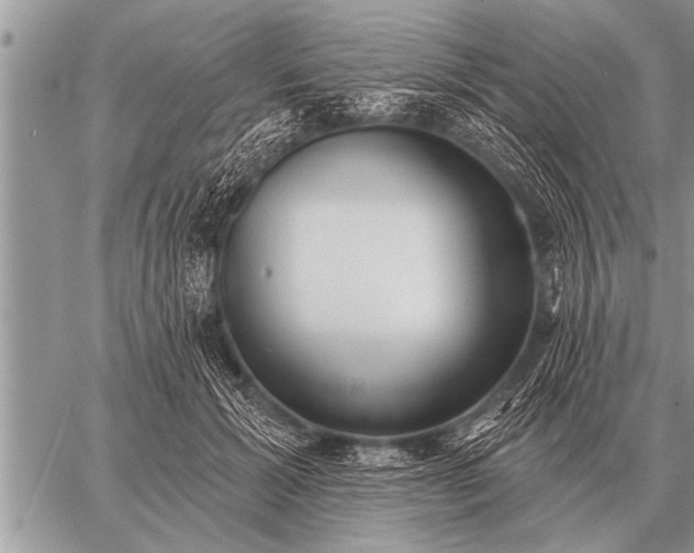 X0000059040605200510171850