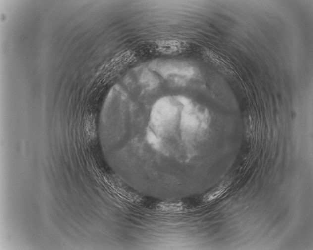 X0000059040606200510171850