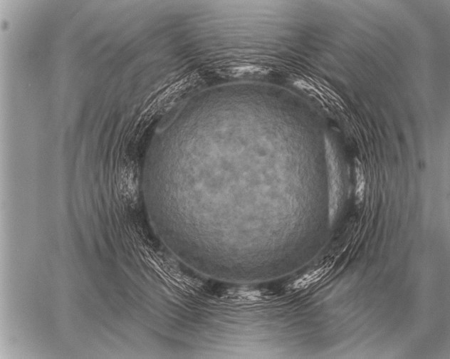 X0000059040607200510171850