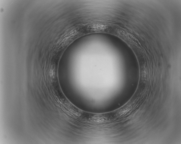 X0000059040608200510171850