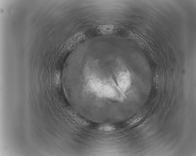 X0000059040610200510171850