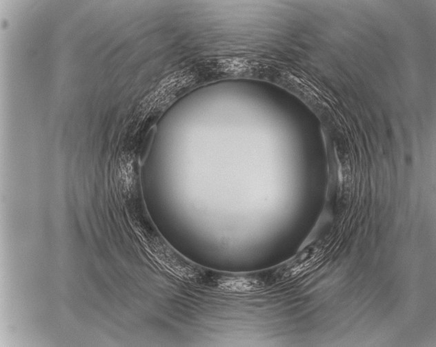 X0000059040611200510171850