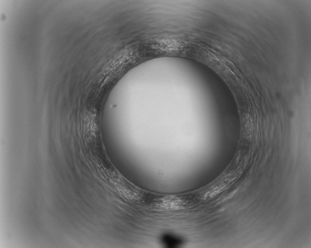 X0000059040612200510171850