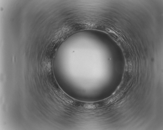 X0000059040613200510171850