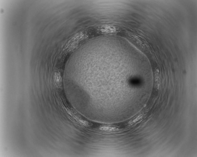 X0000059040614200510171850